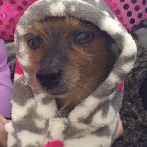 Meet your Posher, Lori